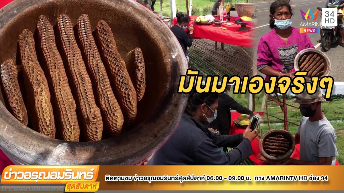 แปลก! “รังผึ้งครกไม้” เจ้าของลั่นเกิดขึ้นเองมหัศจรรย์ แถมฝันชวนขนลุก