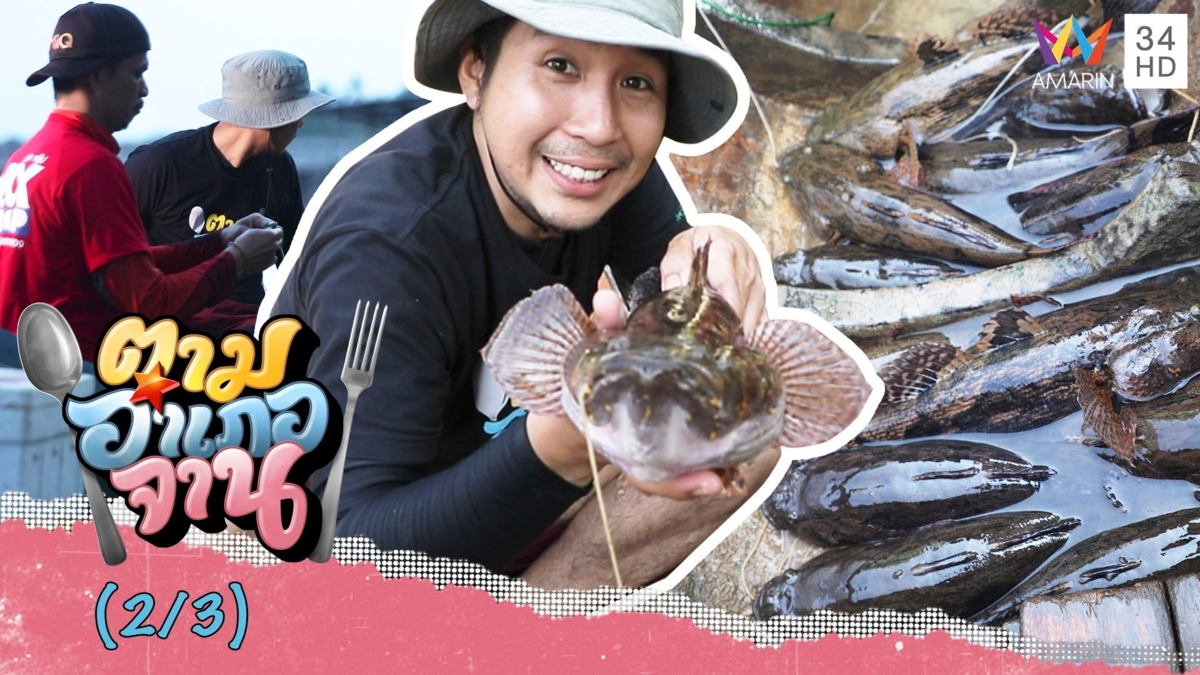 กู้เบ็ดราวได้ ปลาบู่ เต็มเรือ