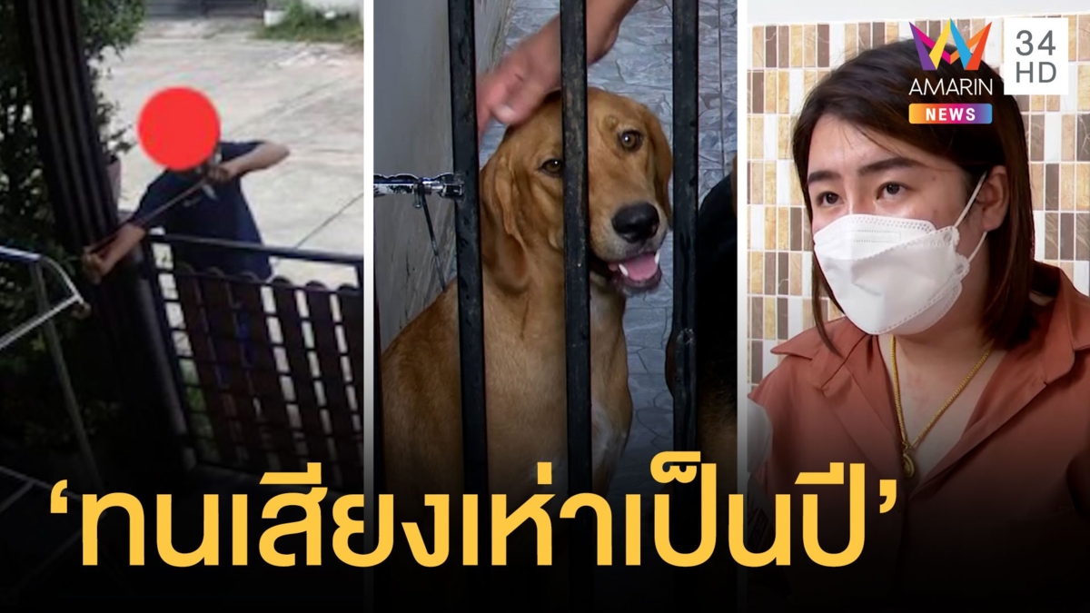 หนุ่มคว้าหนังสติ๊กยิงหมาเพื่อนบ้าน รำคาญเสียงเห่า 5 ตัว