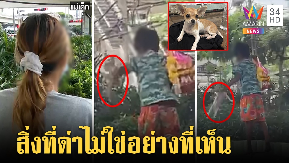 เจอตัวแล้ว! เด็กหิ้วคอหมาเหวี่ยง แม่ยันช่วยชีวิต "บูม เทยกะทะ" อาสารับเลี้ยง