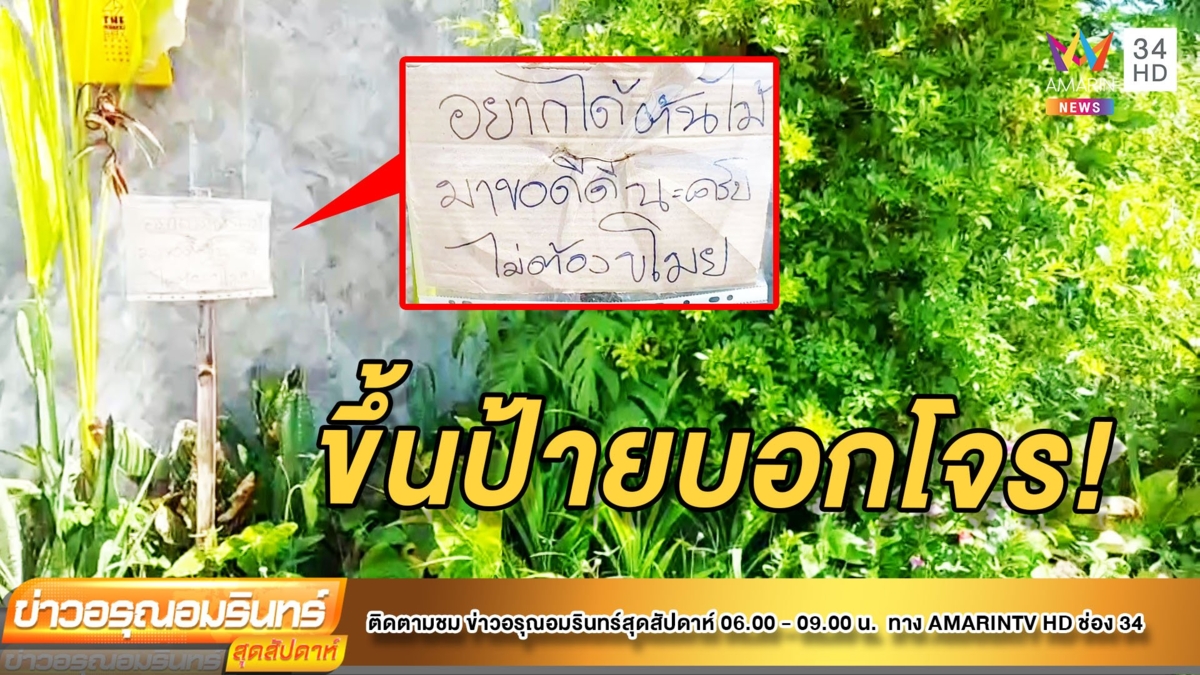 หนุ่มเซ็ง! ถูกโจรขโมยต้นกล้วยบ่อย ต้องขึ้นป้ายบอก