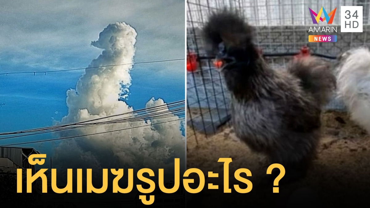 ท้องฟ้าเมฆรูปไก่ บางคนบอกเหมือนนก