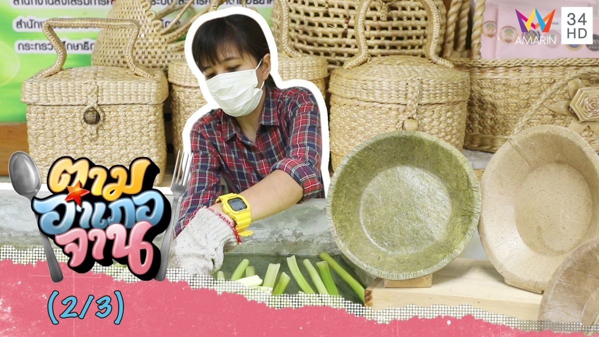 ตามเส้นทาง ผักตบชวา สู่การแปรรูปเป็นผลิตภัณฑ์หลากหลาย