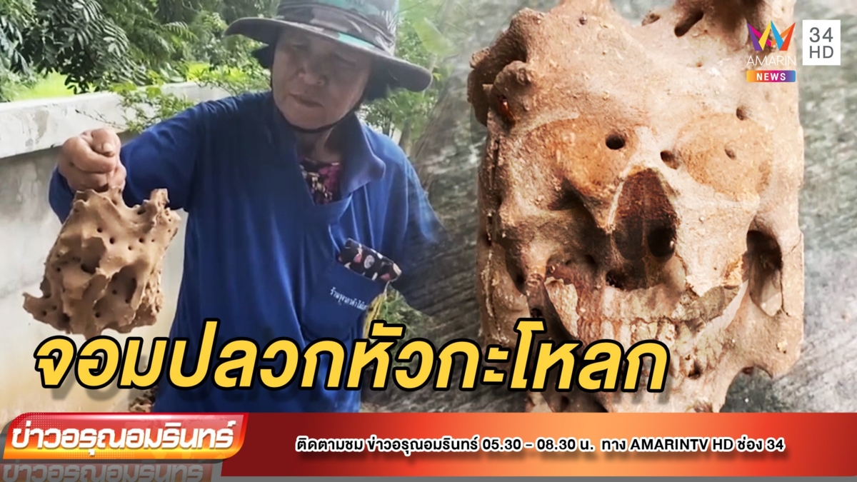 ฮือฮา! ทำพิธีย้ายจอมปลวก พบก้อนดินคล้ายหัวกะโหลก