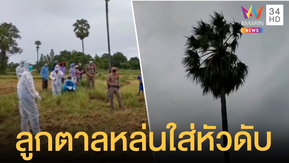 สุดเวทนา! ป้าถูกลูกตาลหล่นใส่หัวดับสลด