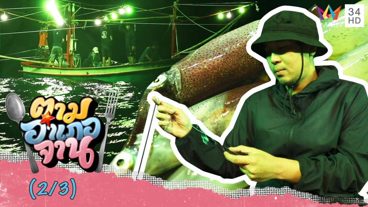 ลงเรือออกทะเลไปครอบหมึก จ.ประจวบคีรีขันธ์