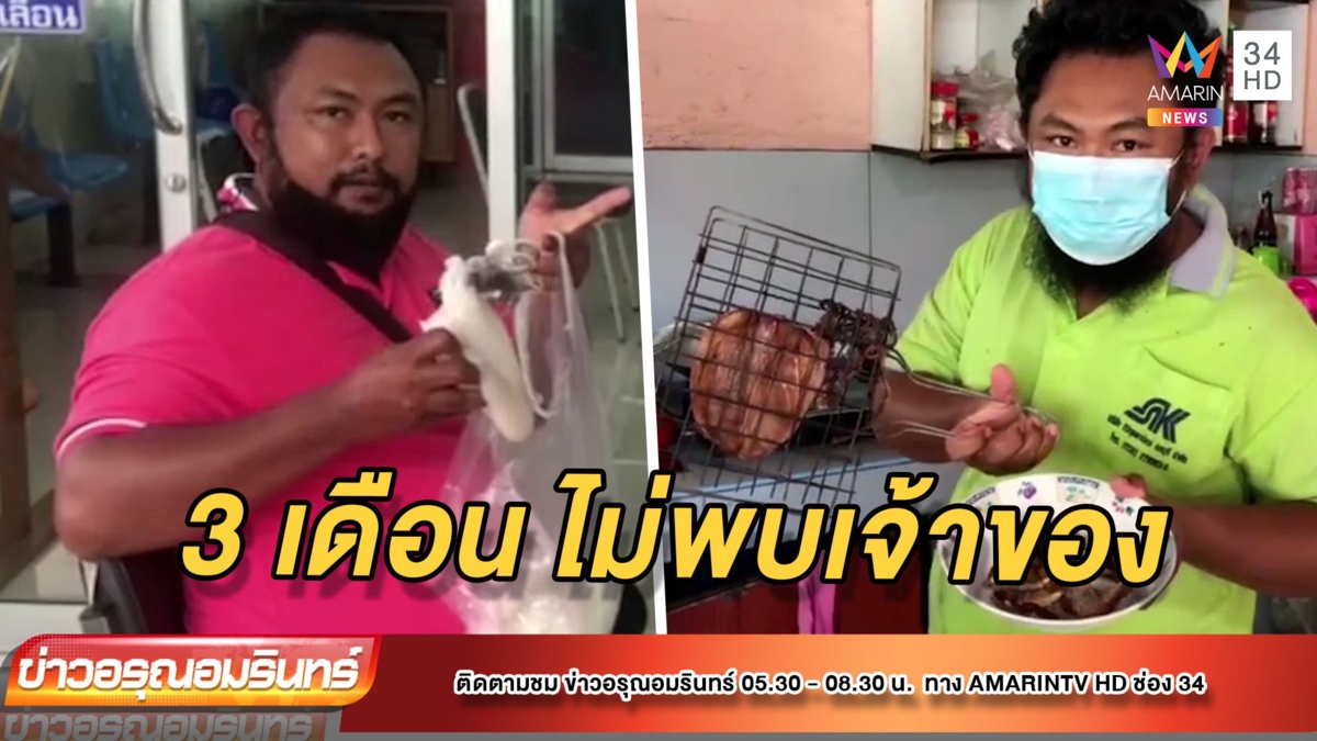 3 เดือนหาเจ้าของไม่พบ “หมึกสด”ถูกตากแห้งเคียงข้าวต้ม