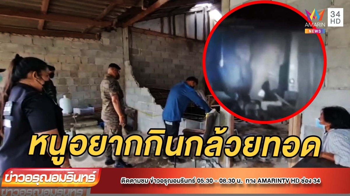 เจ้าของเครียด พลายบุญมี บุกร้านกล้วยทอดครั้งที่ 3