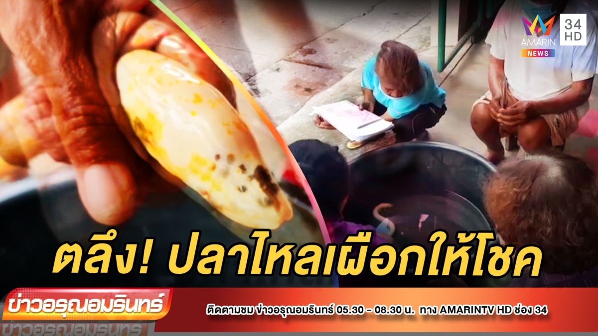 ฮือฮา!ปลาไหลโผล่มาให้จับดื้อๆ แถมเอาโชคมาให้ด้วย