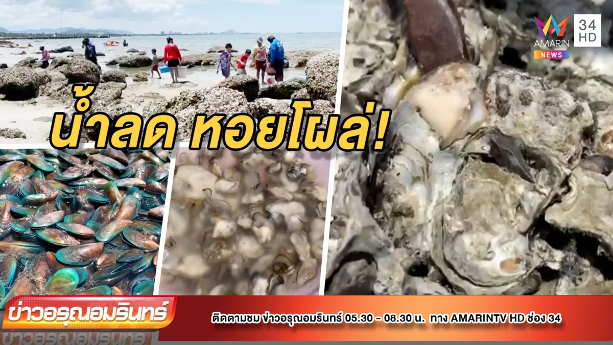 หาดหัวหินคึกคัก! ชาวบ้านแห่เก็บหอย หลังน้ำลด