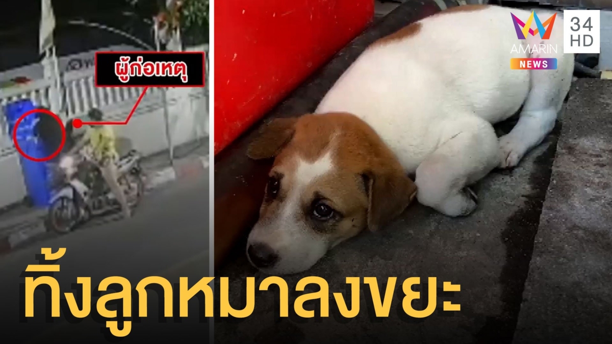 สาวทิ้งหมาในถังขยะ กู้ภัยเห็นช่วยเอามาเลี้ยงไว้