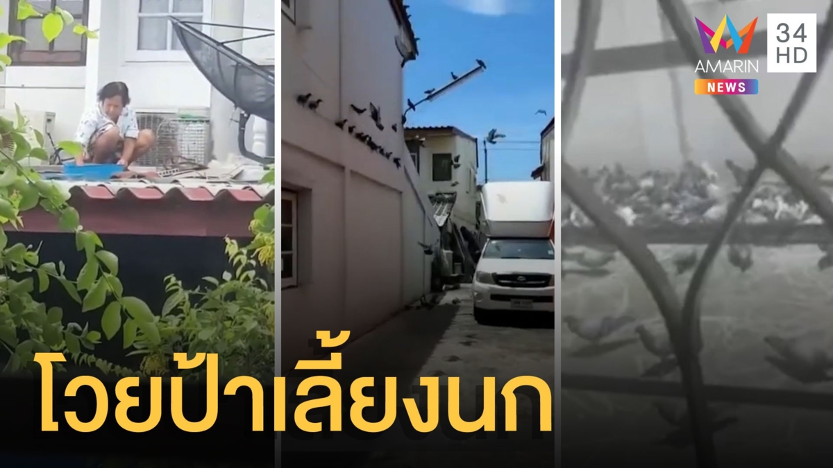 ป้าโปรยข้าวให้อาหารนก จนเพื่อนบ้านทนไม่ไหว