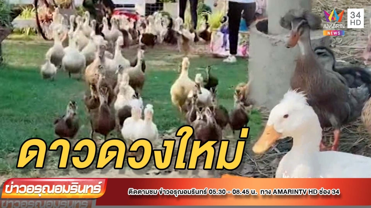 “กิ๊บเก๋” ดาวเป็ดชื่อดังแห่งท้องทุ่งกับผมทรง “ฟาร่า”