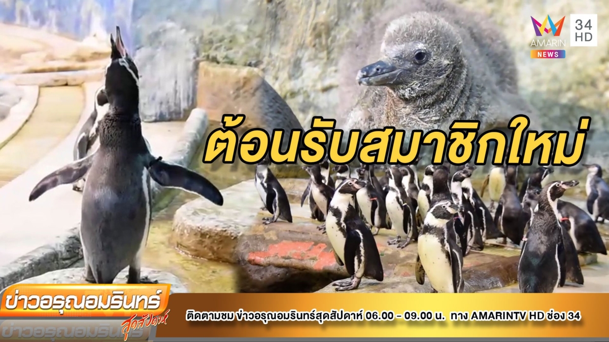 สุดปลื้ม! “สวนสัตว์เขาเขียว” ได้สมาชิกใหม่