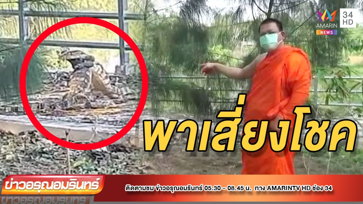 ตัวเหี้ยพลอดรัก “หลวงพี่” จ่อซื้อเลขเด็ด