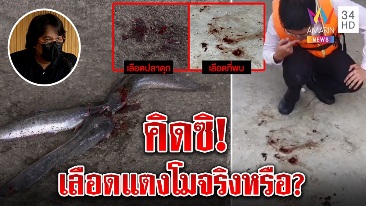 เทียบชัด! เลือดลึกลับกับปลาดุกถูกทุบหัวโยงคดีแตงโม “อ๊อด” แนะเต้หัดคิดเยอะ ๆ
