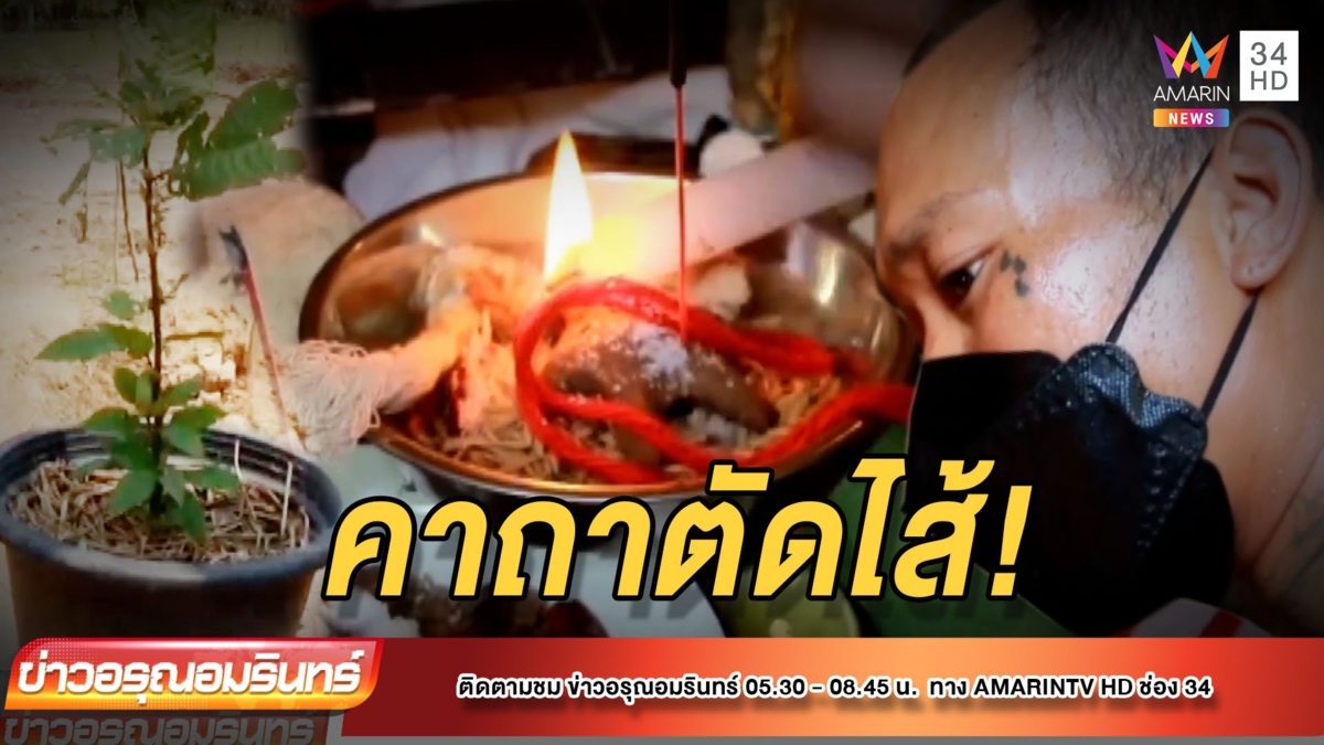 ศิษย์ปู่ฤาษีตาไฟ ร่ายคาถาตัดไส้ ใส่โจรขโมยต้นกระท่อม