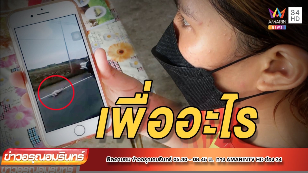 ตามหา 2 ฝรั่ง ขับกระบะลากหมา