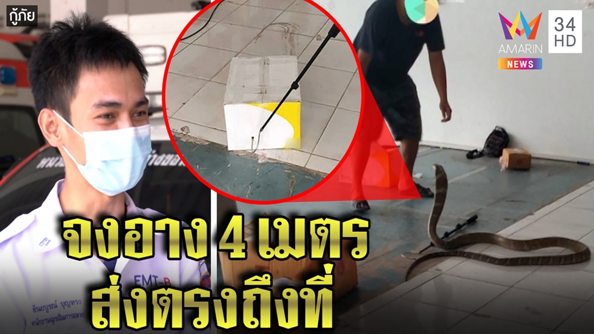 จงอางเอ็กเพลส! สาวกรี๊ดช็อกเจอมือดีส่งงู 4 เมตร กู้ภัยเร่งช่วยล่าตัวคนส่ง