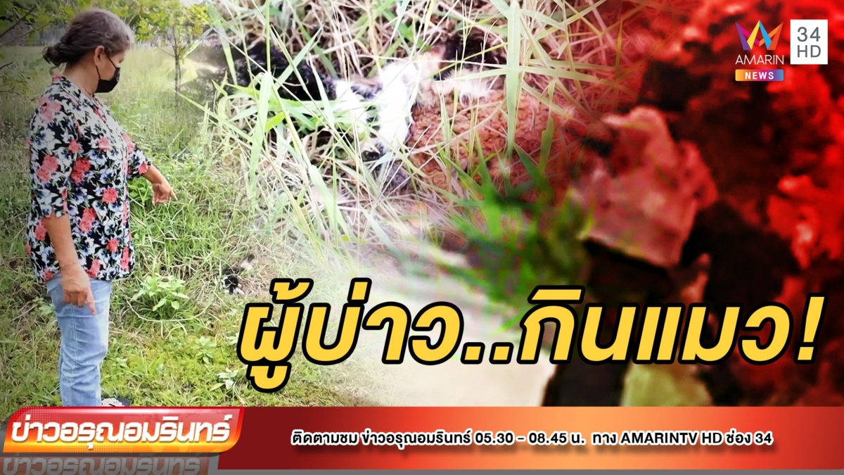 สุดช็อก! หนุ่มเพี้ยนชำแหละซากแมวเตรียมปรุงอาหาร ชาวบ้านผวา