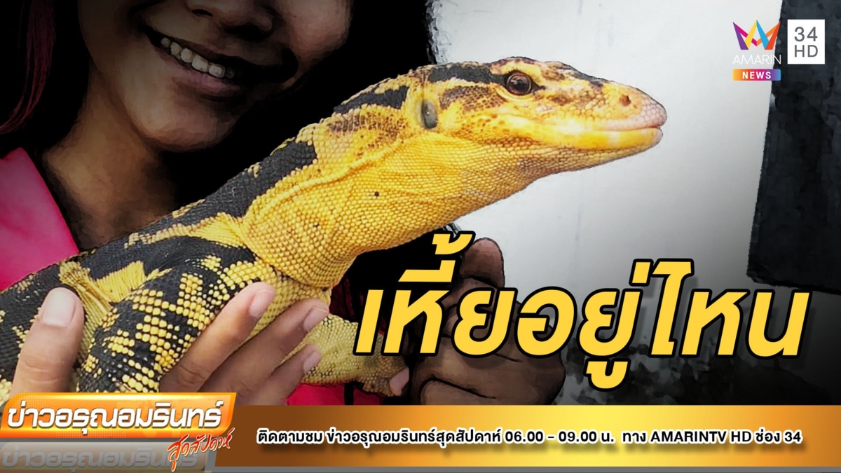 ตามหา “ตัวเหี้ย” สุดรัก หลุดจากกรง