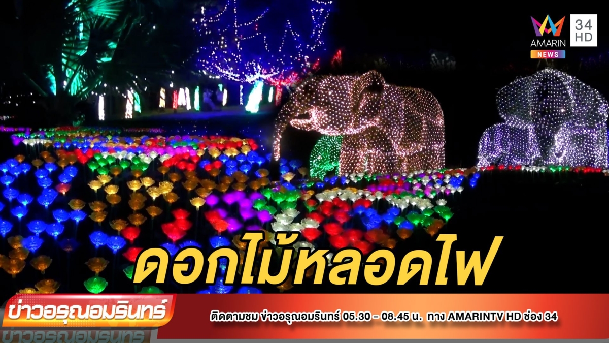 สุดฟิน! ชมทุ่งดอกไม้ LED พันหลอด แถมชมวิวหอคอย 360 องศา