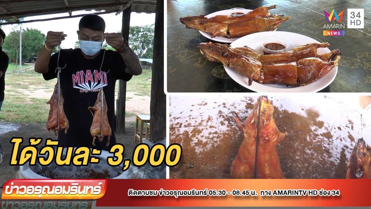 ได้ 2-3 พันต่อวัน! “หนูนา” อบโอ่ง – ชำแหละส่งขายออนไลน์