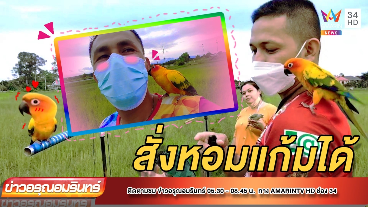 น่ารัก! ตร.-ครูเมืองคอนฝึก “นกแก้ว-หงส์หยก” เชื่องสั่งหอมแก้มได้