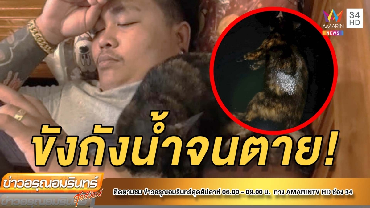 สะเทือนใจ! คนใจร้ายจับแมวยัดถังน้ำ ปิดล็อกฝาจนสิ้นใจ