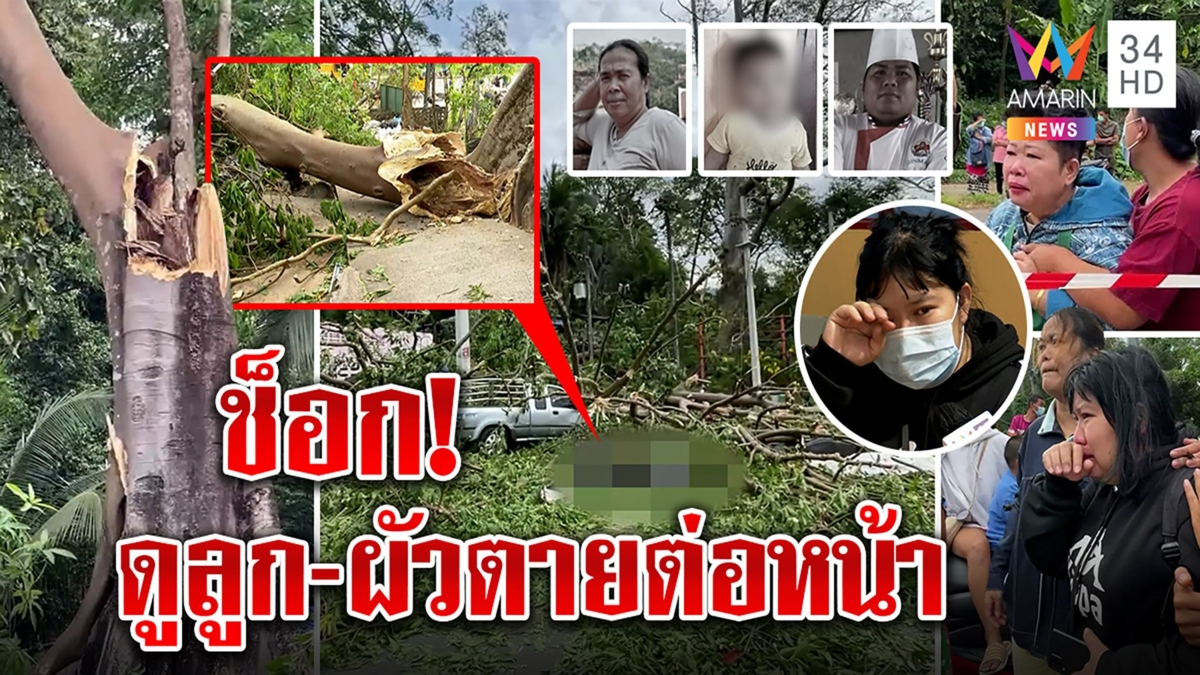 แทบขาดใจ! ต้นไม้ยักษ์ 100 ปีโค่นทับไทยมุงดับสลด 3 ศพ เมียร่ำไห้ลูกผัวตายคาตา