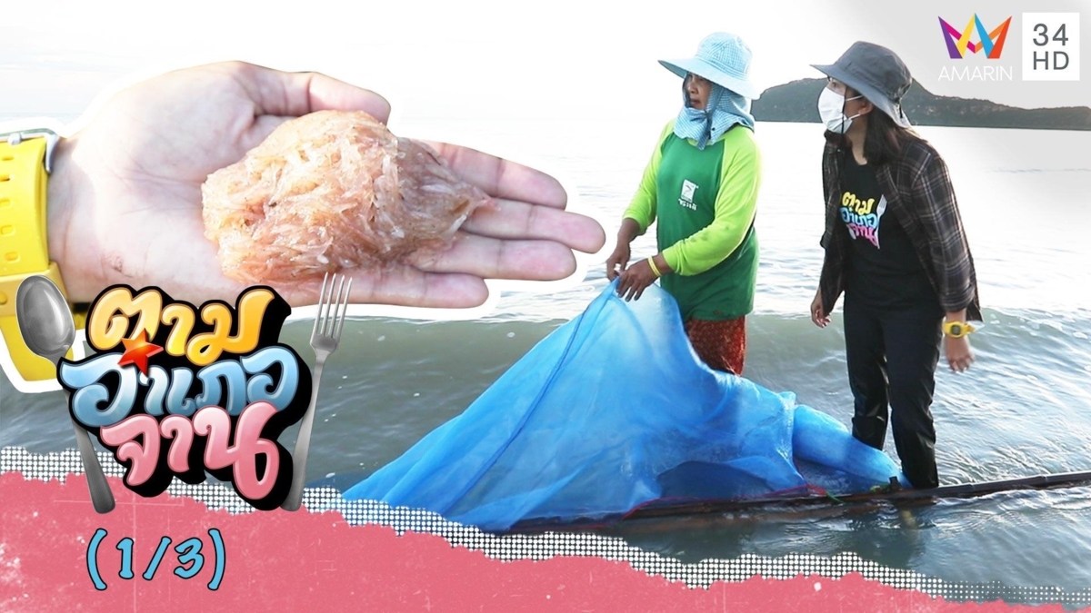 ลุยน้ำทะเลไปรุนเคย จ.ประจวบคีรีขันธ์