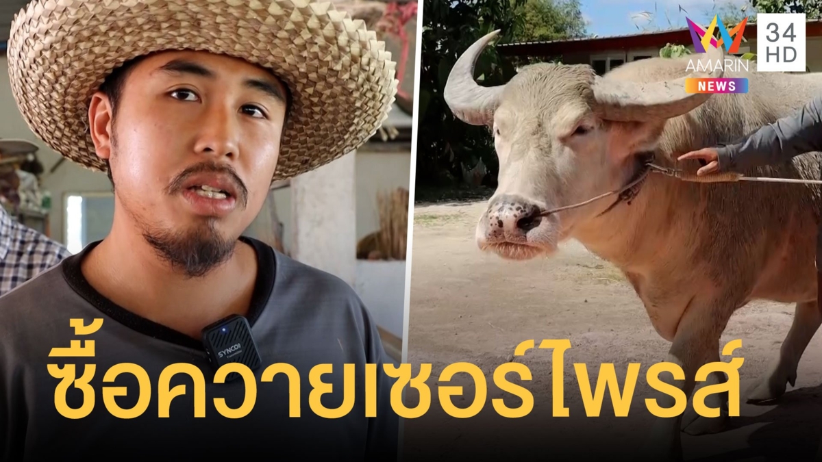 เซอร์ไพรส์! พ่อให้เงินซื้อรถ 7 แสน หนุ่มสัตวแพทย์เอาไปซื้อควายเผือก