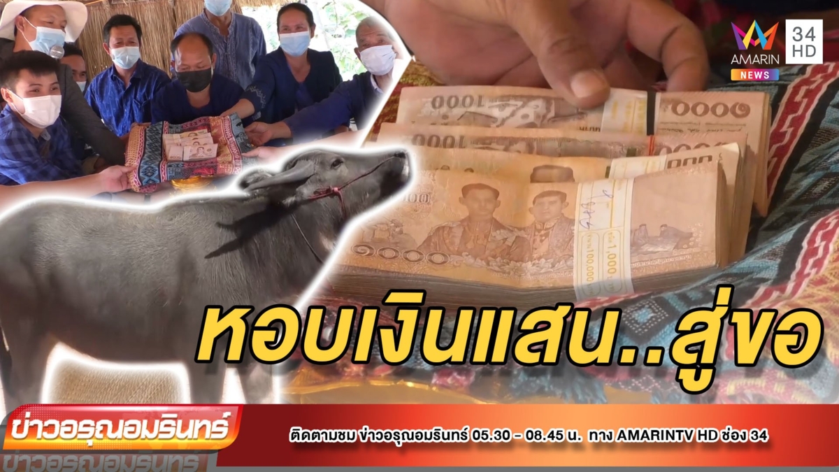 หนุ่มหอบเงินสินสอด 6 แสน สู่ขอ “น้องแต้ว” ควายไทยแท้วัย 18 เดือน