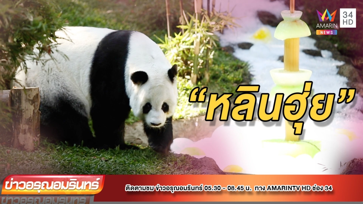 “หลินฮุ่ย” โชว์ตัวรับลมหนาว