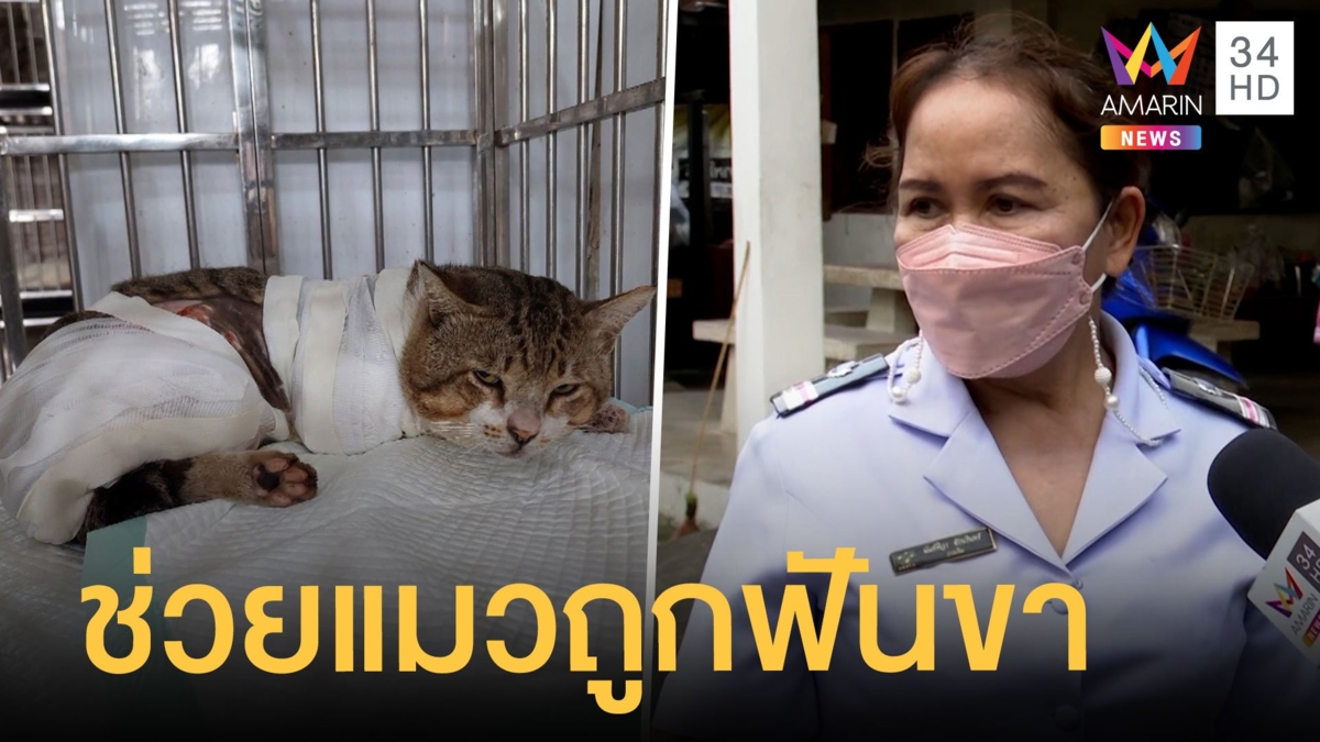 น่าสงสาร! คนใจร้ายฟันขาแมวขาด ทิ้งร่างลงพงหญ้า