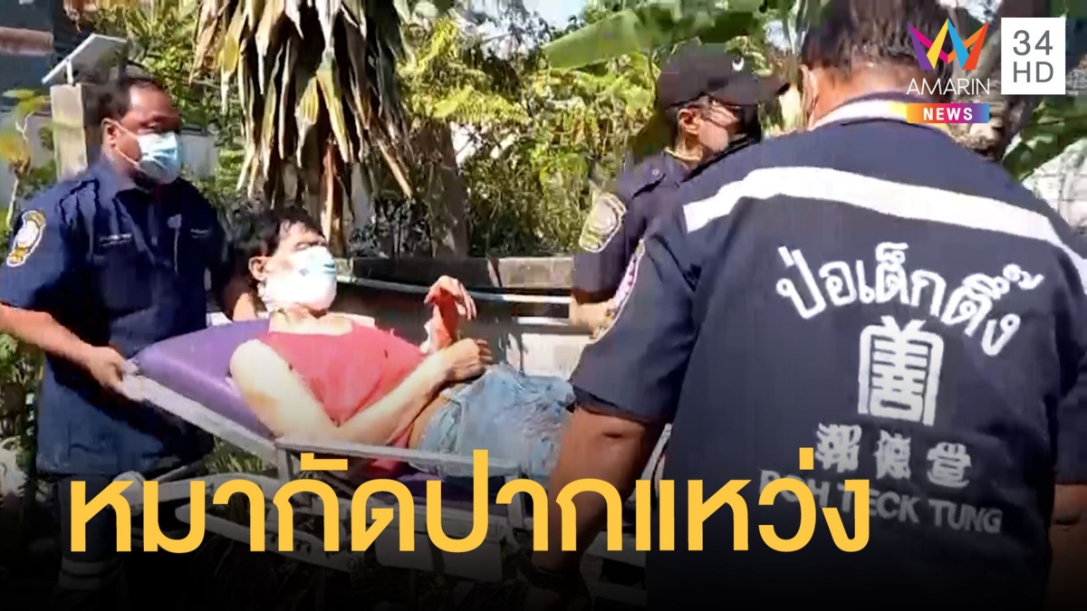 หมากัดหนุ่มปากเหวอะ โมโหเมาด่าเล่นกับมันแรง