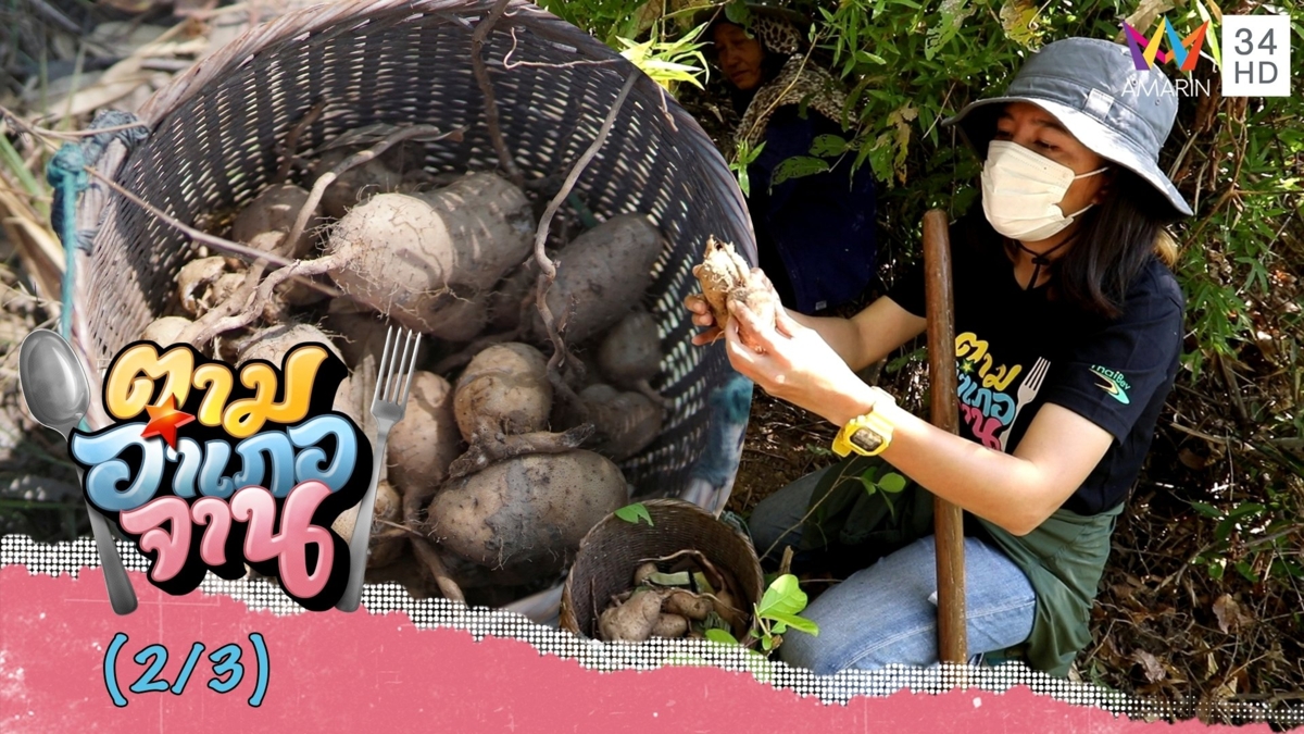 มันแซง ของอร่อยมีปีละครั้ง