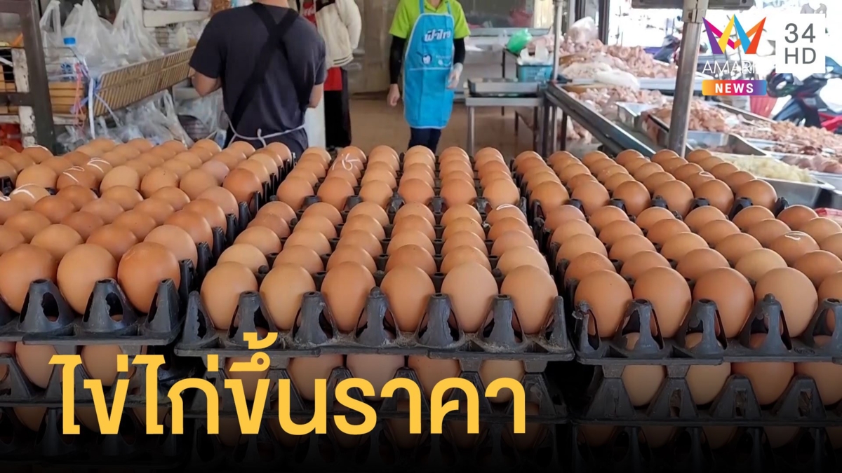 ไข่ไก่ขึ้นราคาหน้าฟาร์มปรับสูงฟองละ 3 บาท - หมูแพงสะเทือนหมูปิ้ง