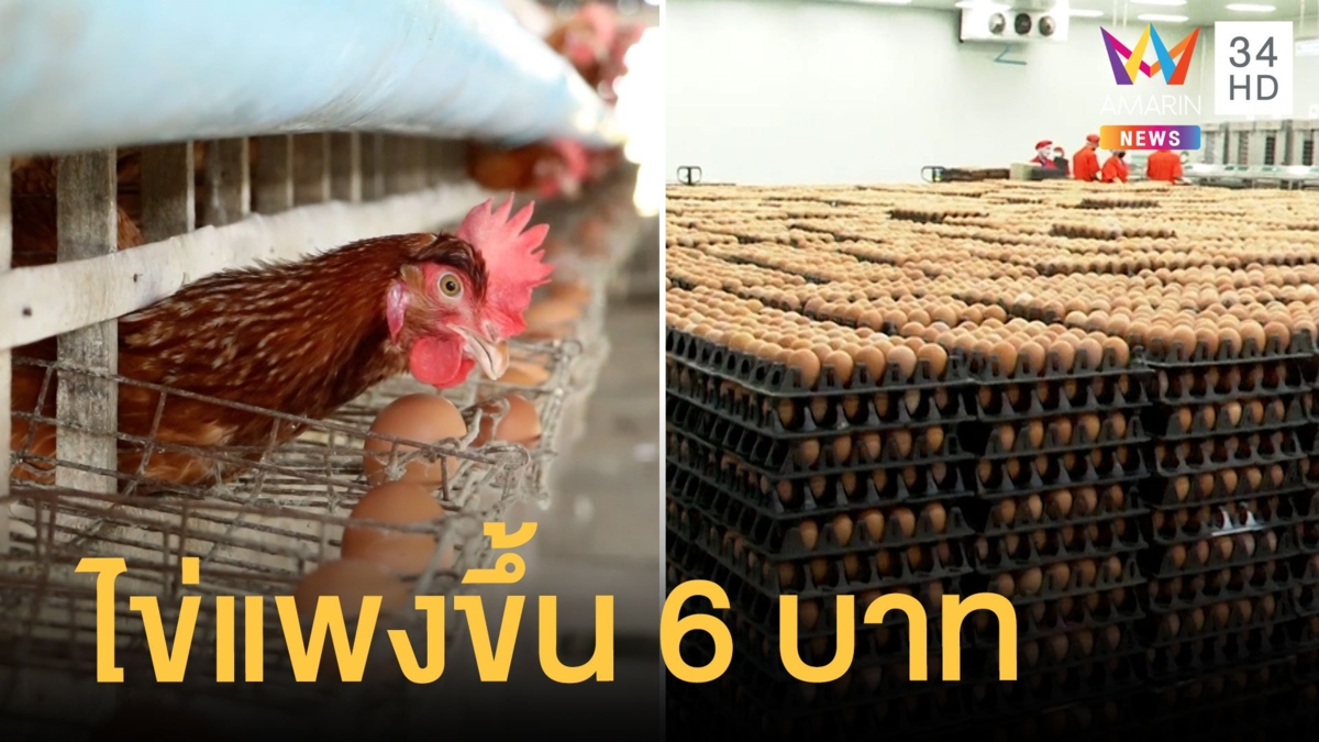 ไข่ไก่ราคาขึ้นแผงละ 6 บาท คาดทนแพงอีก 4 เดือน