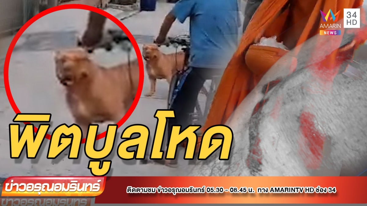 หลวงพ่อผวา ‘พิตบูล’ ไล่กัดจีรปลิว