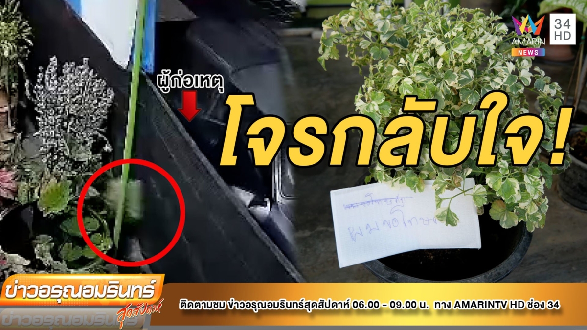 โจรกลับใจ! บุกขโมยต้นเล็บครุฑด่าง ก่อนย่องคืน พร้อมขอโทษ