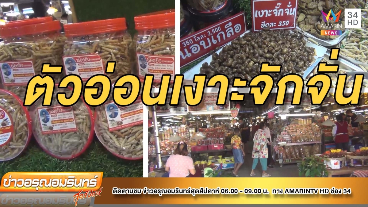 ตัวอ่อนเงาะจักจั่น ของดีรสเด็ด กก.ละ 3,500 บาท