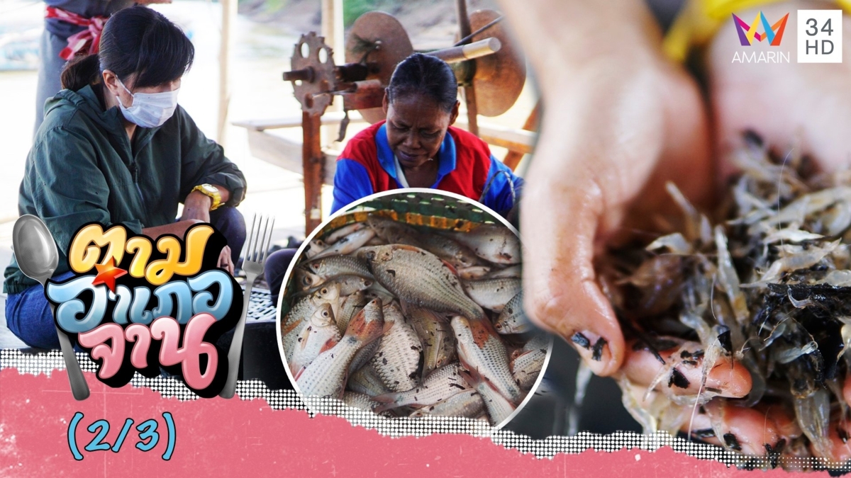 ตื่นตาสุดๆ ยามขา ทั้งที ได้ทั้งกุ้งฝอย ได้ทั้งปลา