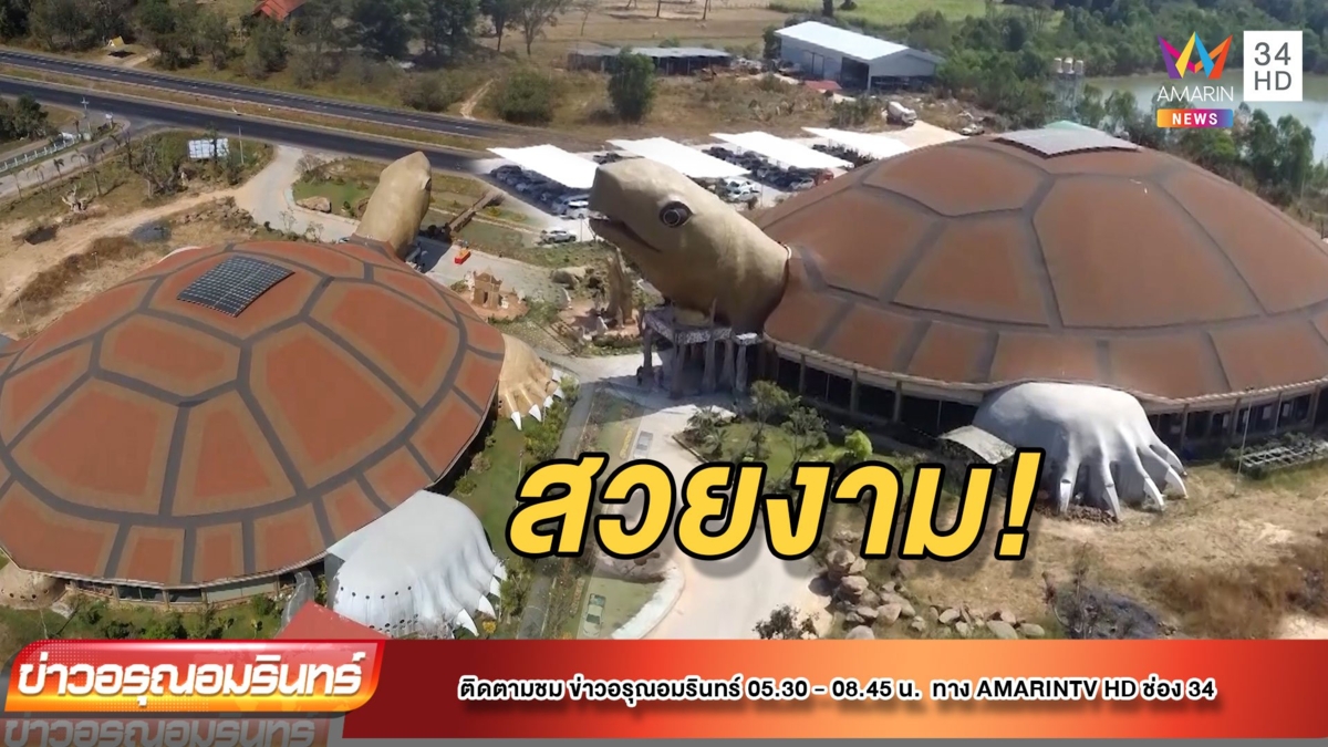เปิด “เต่าสะเร็น” ใหญ่สุดในอีสาน เชื่อเจ้าที่ให้โชค