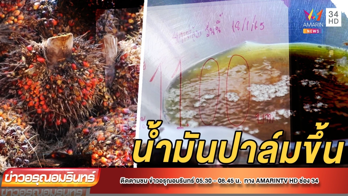 พ่อค้ากล้วยทอดโอด น้ำมันปาล์มขึ้นราคา
