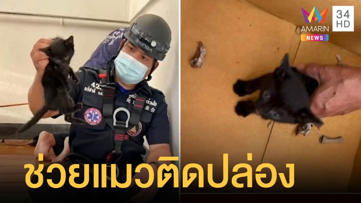 กู้ภัยโรยตัวช่วยแมวติดปล่องอาคารสูง 10 เมตร
