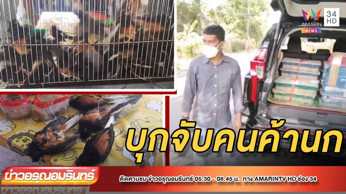 บุกจับหนุ่มลอบค้า “นกกางเขนดง” คารถหรู สัตว์เบียดกันดับคากรงเพียบ