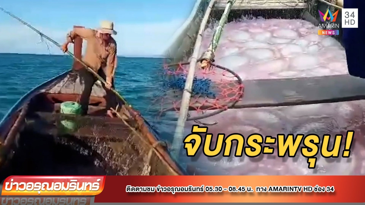 ประมงเฮ! ออกจับแมงกะพรุนลอดช่องขายสร้างรายได้งาม