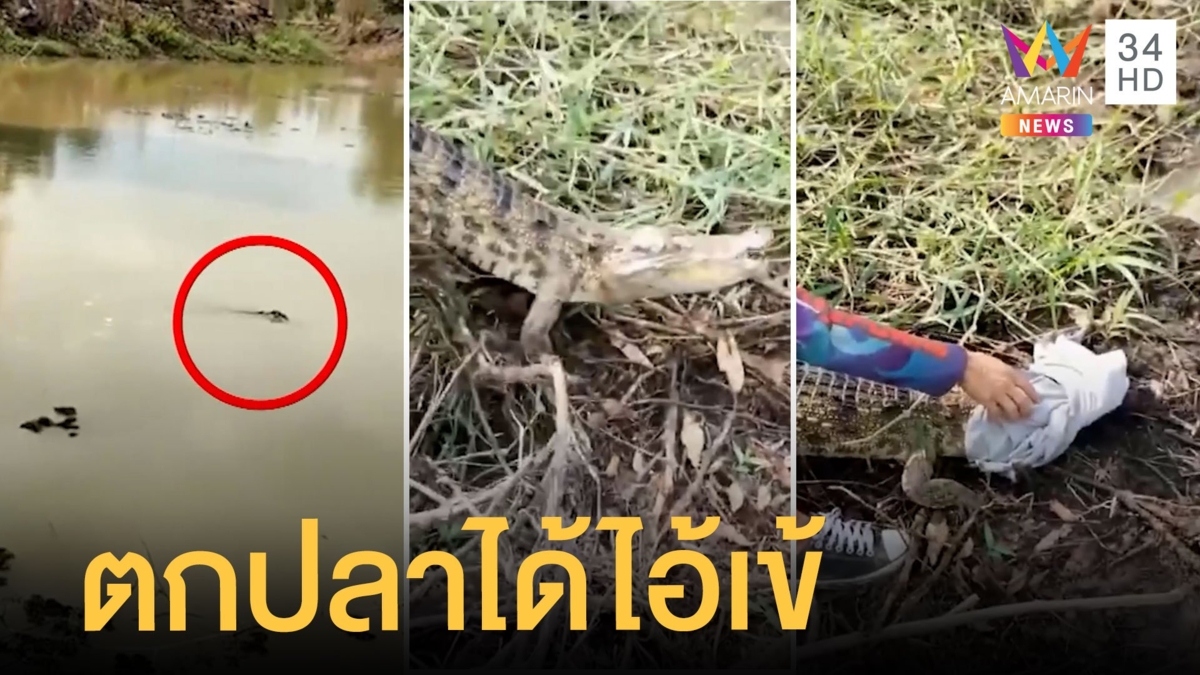 หนุ่มไปตกปลา แต่ได้จระเข้ ทำเอาชาวบ้านผวา