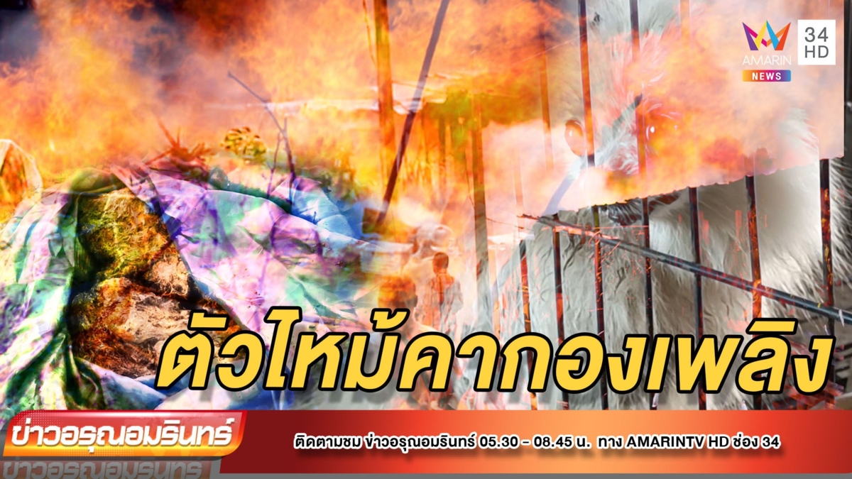 ไฟไหม้หญ้าลามโรงงาน คลอกหมาสิ้นใจเกลื่อน